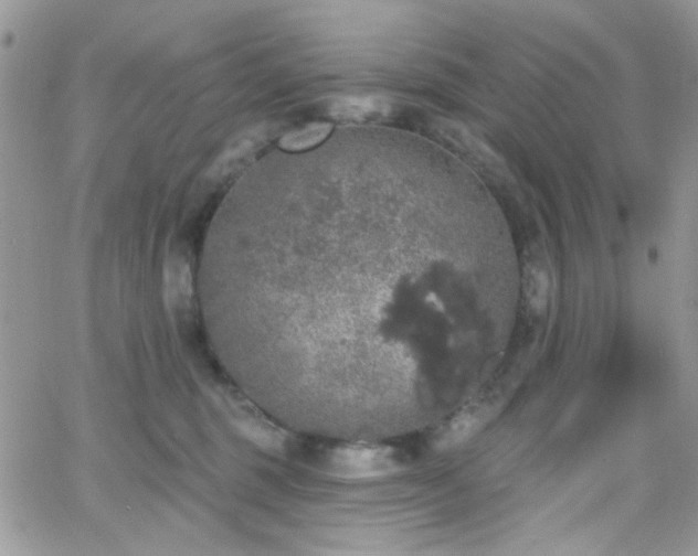 X0000066970375200603271214