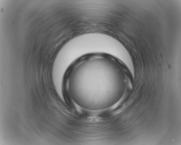 X0000066970376200603271214