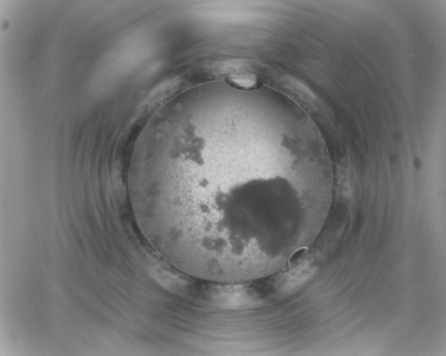 X0000066970377200603271214