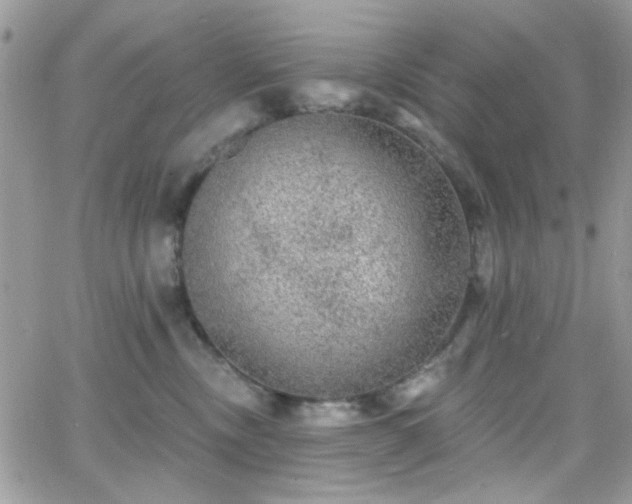 X0000066970378200603271214