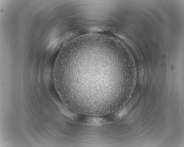 X0000066970379200603271214