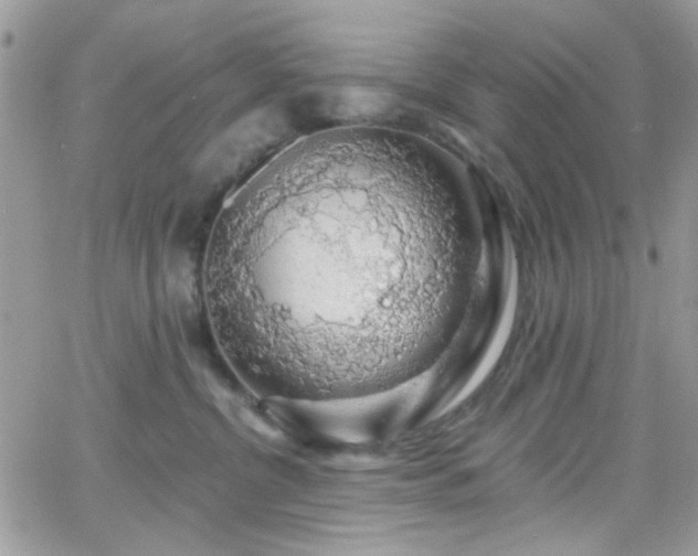 X0000066970380200603271214