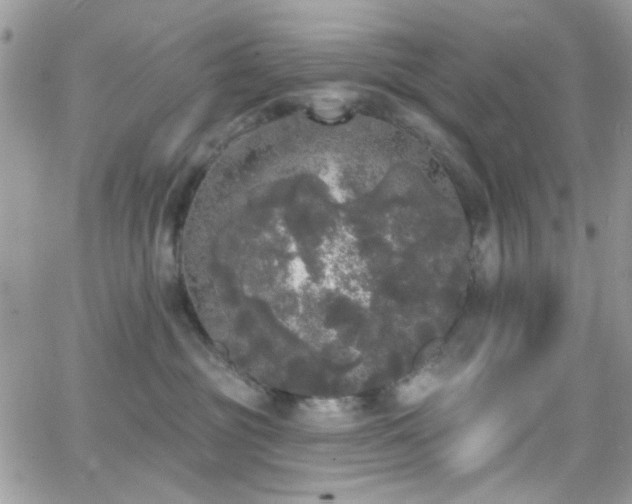 X0000066970381200603271214