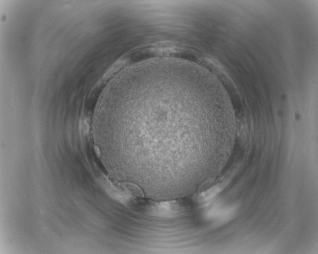 X0000066970382200603271214