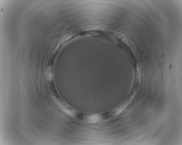 X0000066970383200603271214