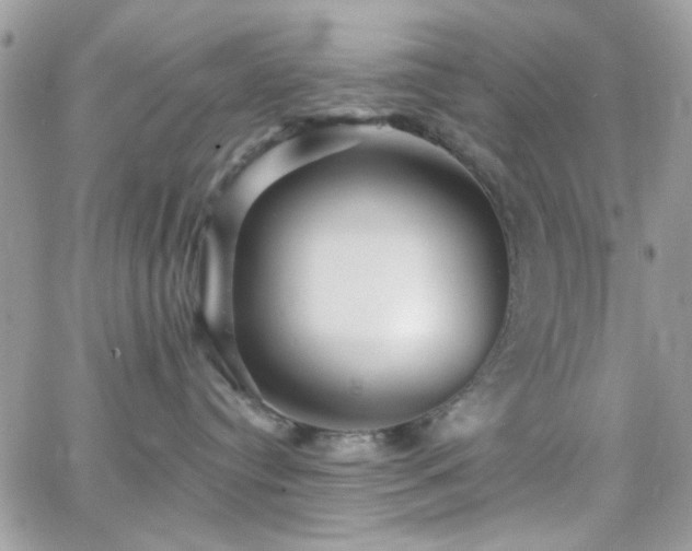 X0000066970384200603271214