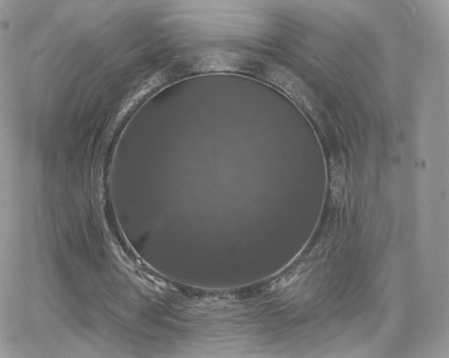 X0000066970386200603271213