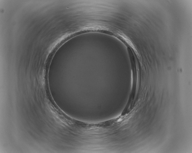 X0000066970387200603271213