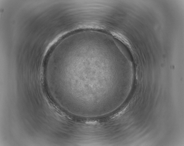 X0000066970388200603271213