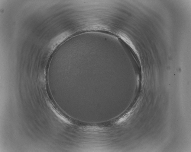 X0000066970389200603271213