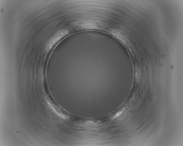 X0000066970390200603271213