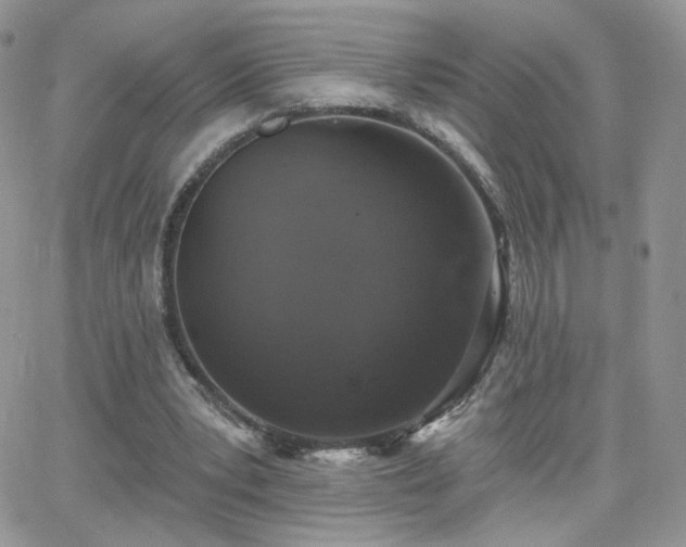 X0000066970391200603271213