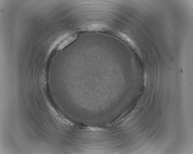 X0000066970392200603271213