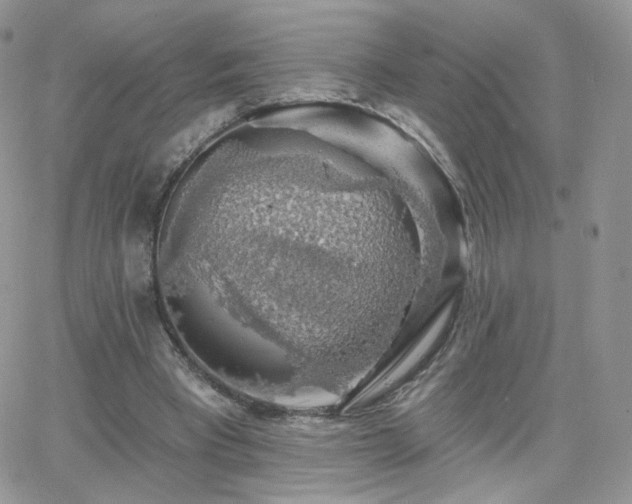 X0000066970393200603271213