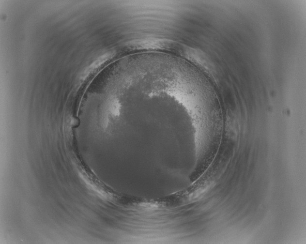 X0000066970394200603271213