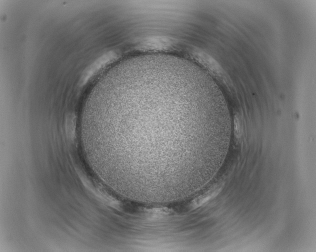 X0000066970396200603271213