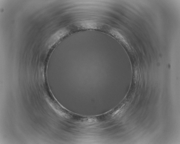 X0000066970398200603271213