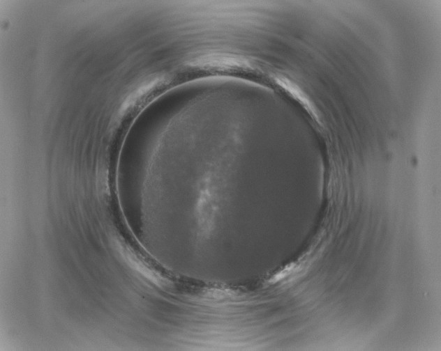 X0000066970399200603271213