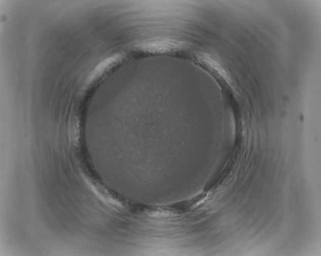 X0000066970400200603271213