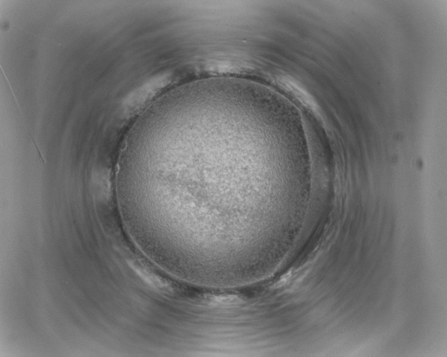 X0000066970401200603271213