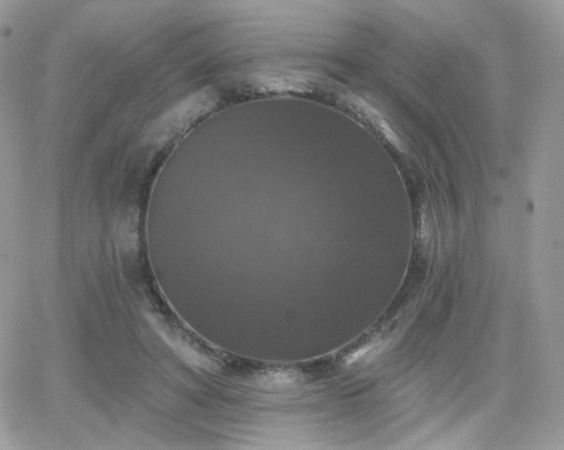 X0000066970402200603271213