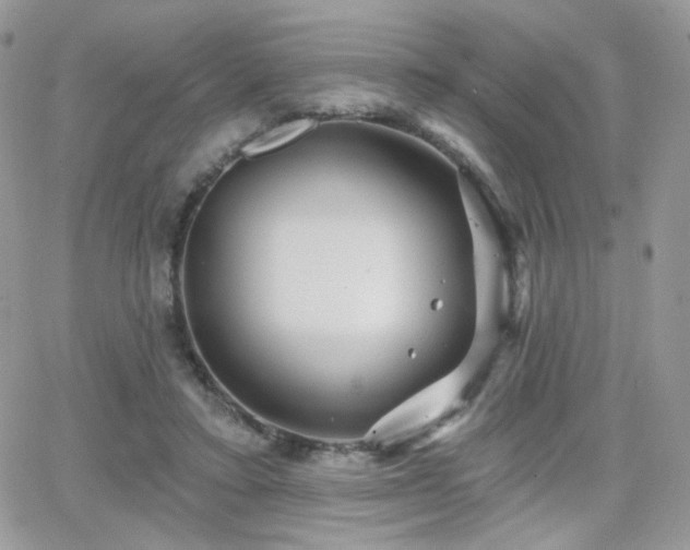 X0000066970403200603271213