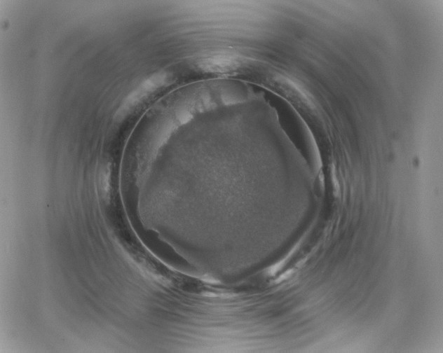 X0000066970404200603271213