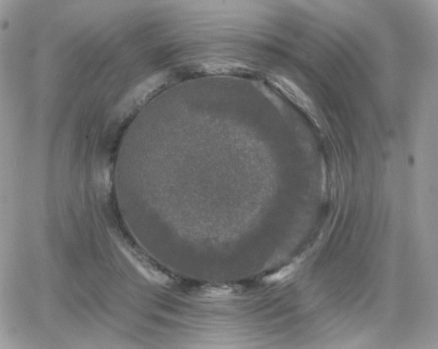 X0000066970405200603271213