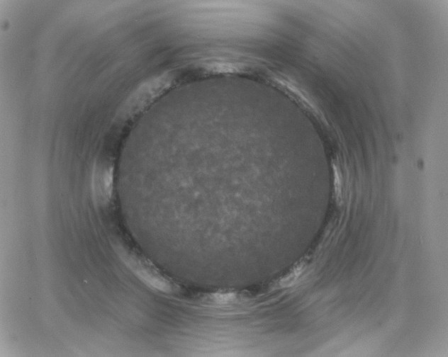 X0000066970406200603271213