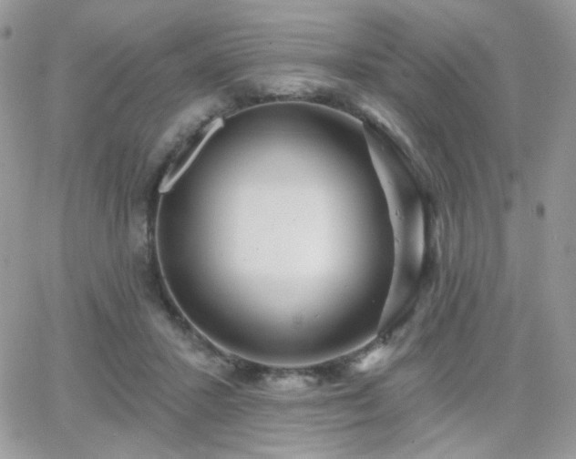 X0000066970407200603271213