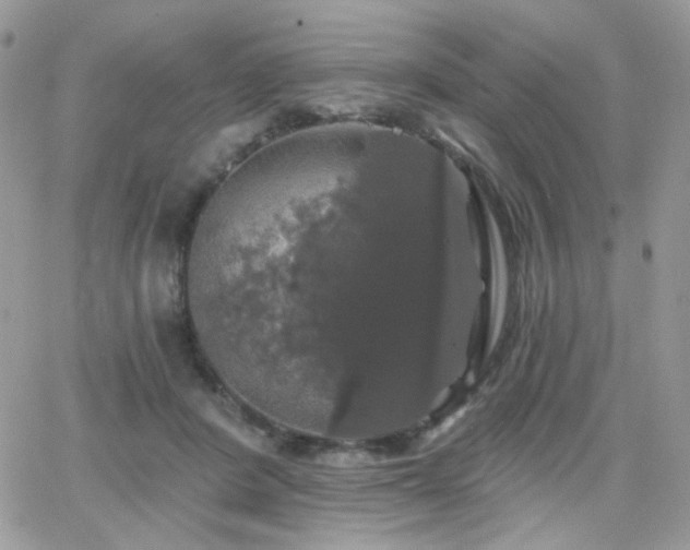 X0000066970408200603271213