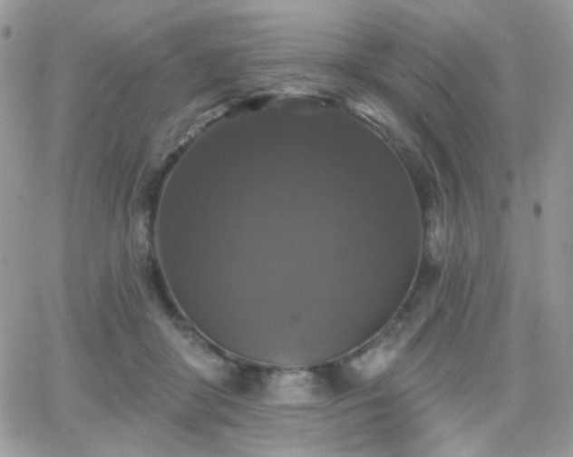 X0000066970410200603271213