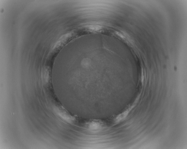 X0000066970412200603271213