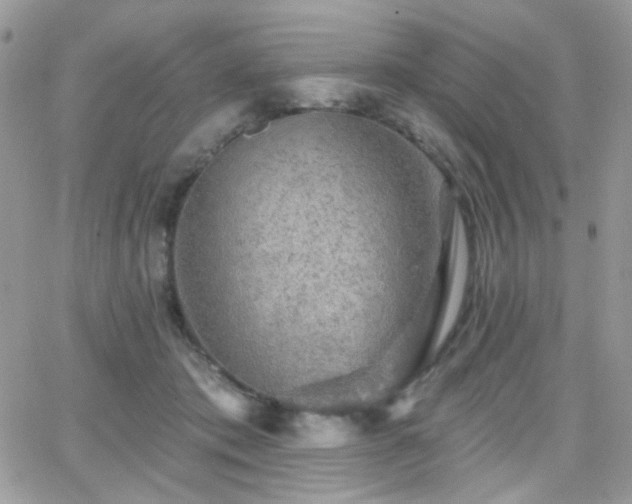 X0000066970413200603271213