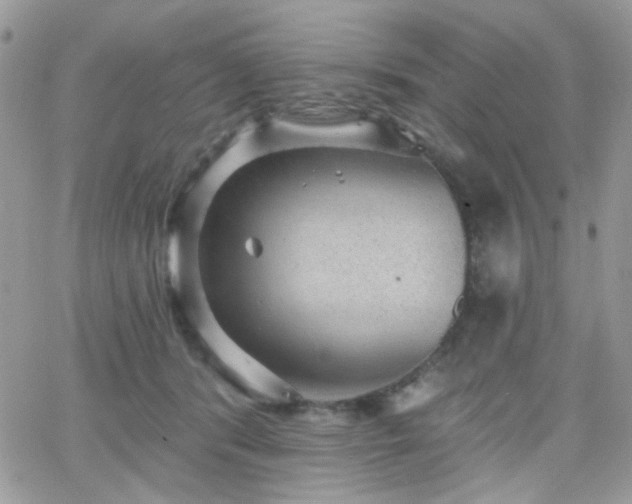 X0000066970416200603271213