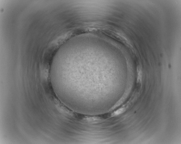 X0000066970417200603271213