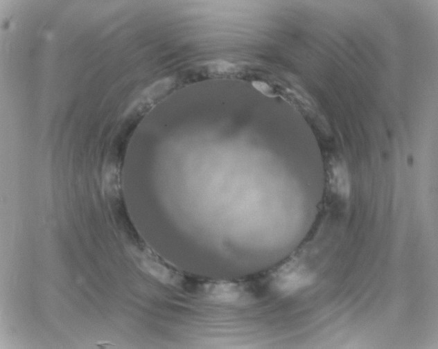 X0000066970419200603271213