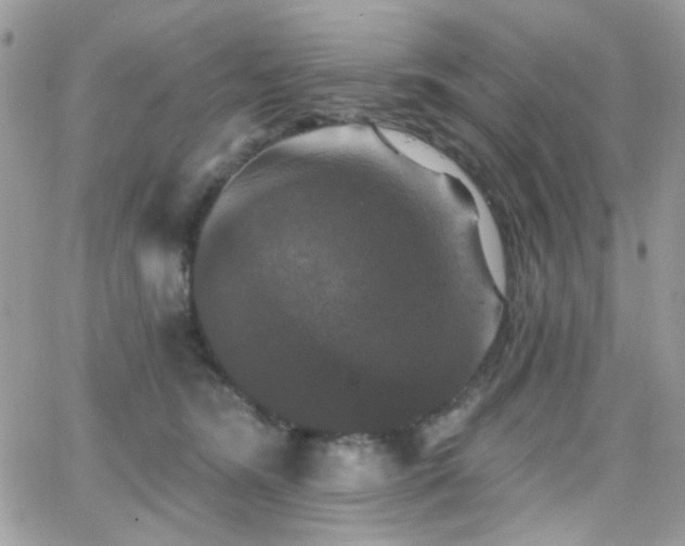 X0000066970420200603271213