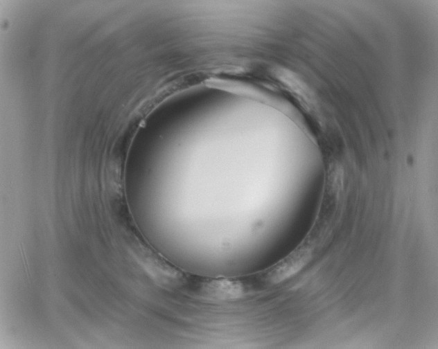 X0000066970421200603271213