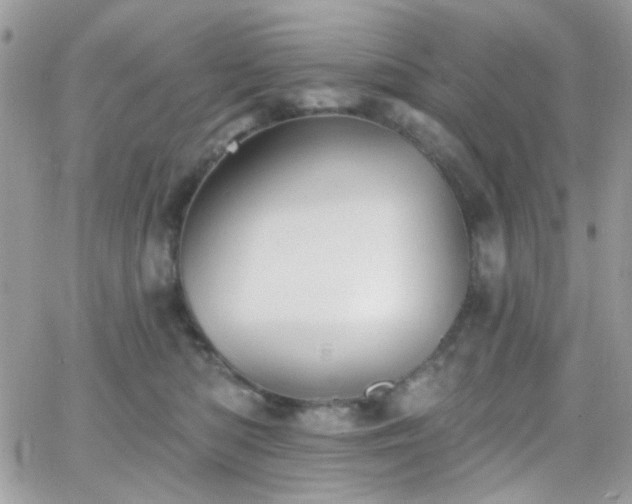 X0000066970422200603271213