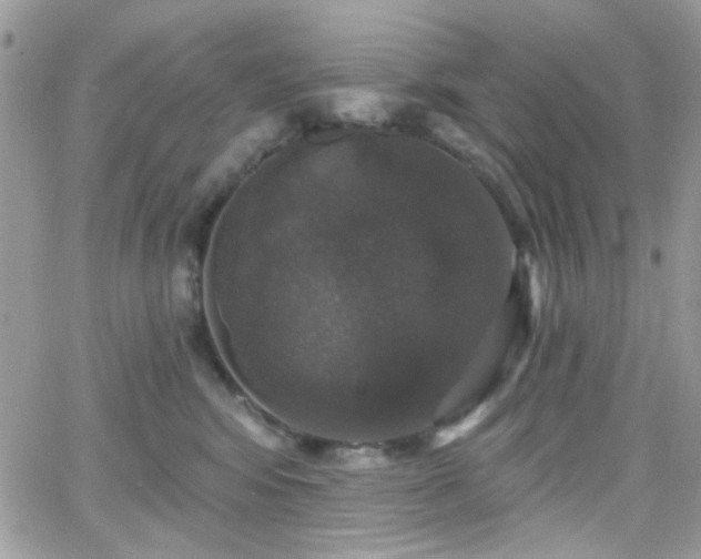 X0000066970424200603271213