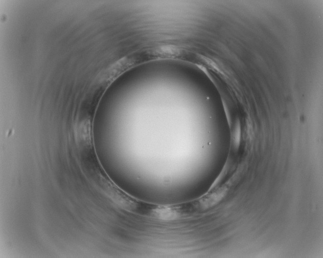 X0000066970425200603271213