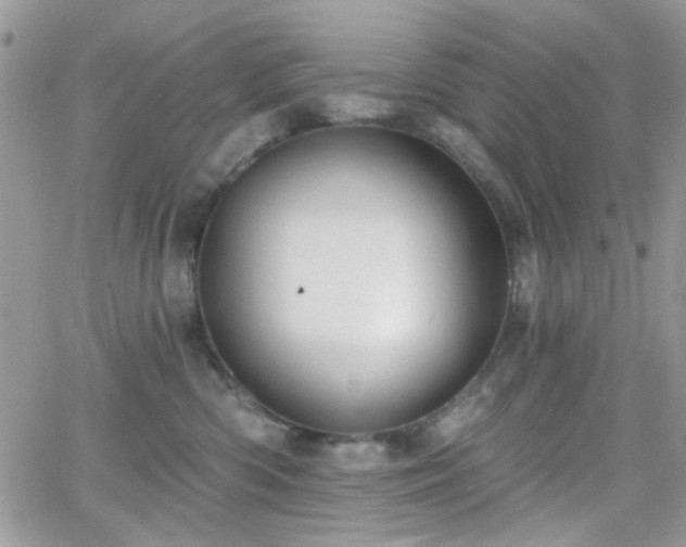 X0000066970426200603271213