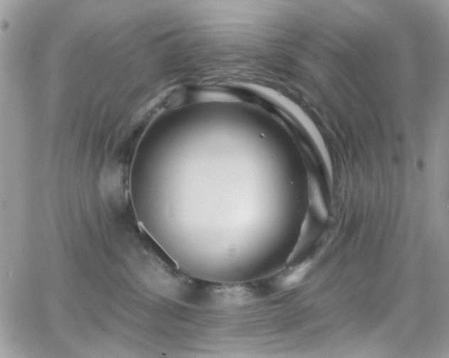 X0000066970428200603271213