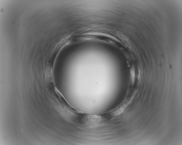 X0000066970429200603271213