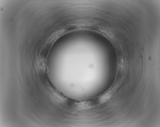 X0000066970430200603271213