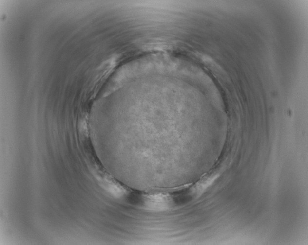 X0000066970432200603271213