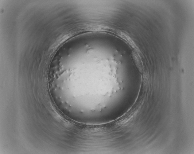 X0000066970433200603271212