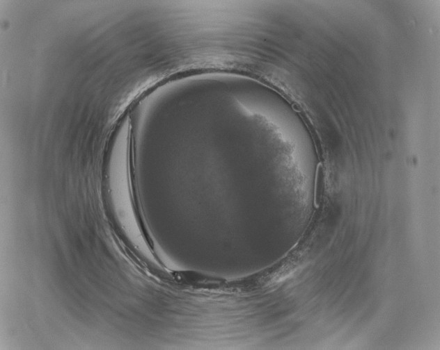 X0000066970434200603271212