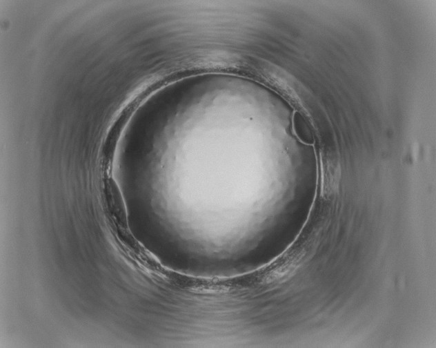 X0000066970435200603271212